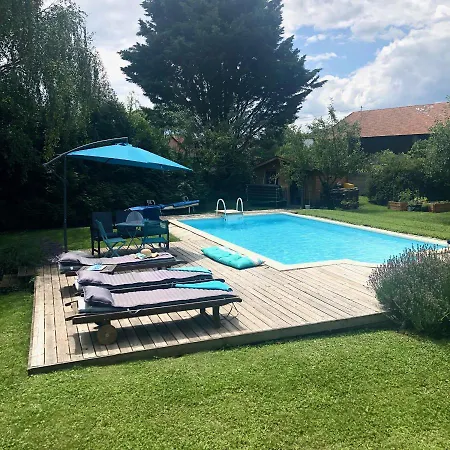 Un Petit Nid Dans La Verdure