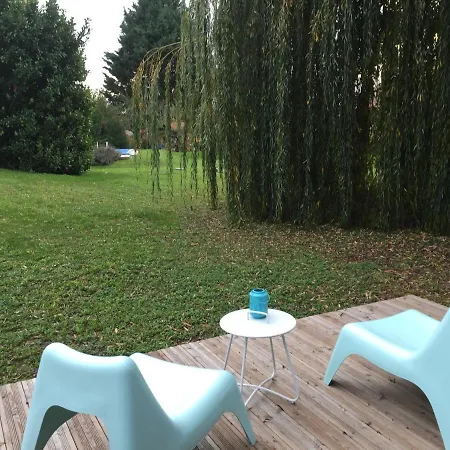 Un Petit Nid Dans La Verdure