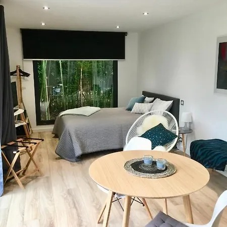 Un Petit Nid Dans La Verdure 3* Holtzwihr