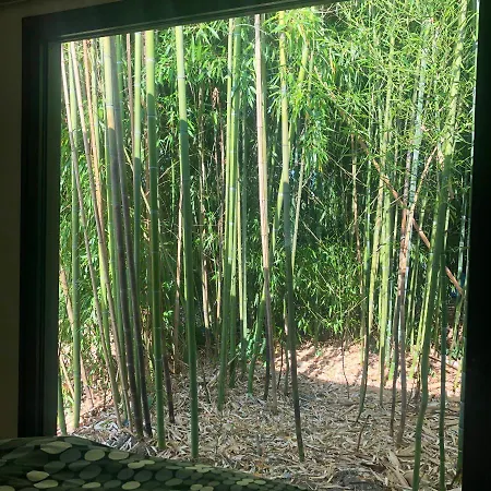 Un Petit Nid Dans La Verdure *